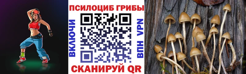 Галлюциногенные грибы ЛСД маркетплейс официальный сайт Себеж